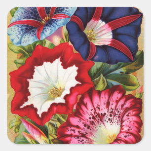 Morning Glories Stickers