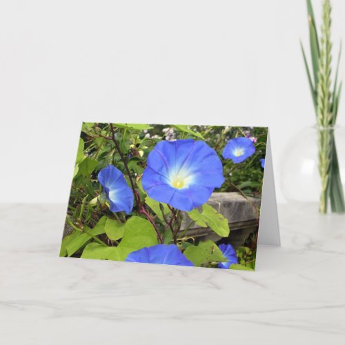 Morning Glories Thank You Card