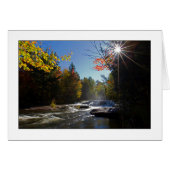 Morning Glory (Front Horizontal)