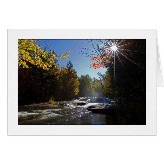 Morning Glory (Front Horizontal)