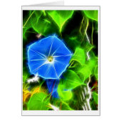 Morning Glory (Front)