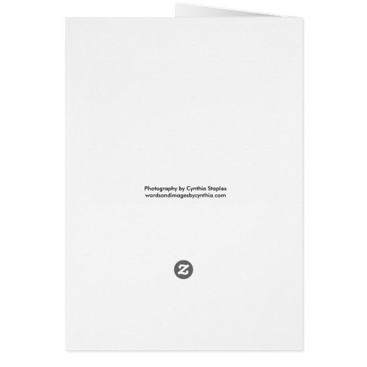 Morning Glory (Back)