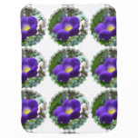 morning-glory-2 stroller blanket