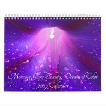 Morning Glory Beauty: Oceans of Color 2027
