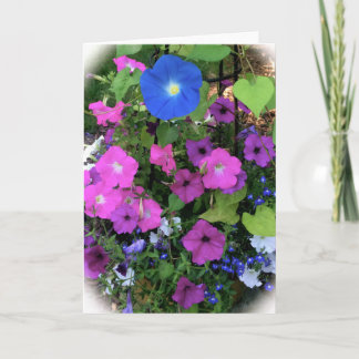Morning Glory Blank Greeting Card