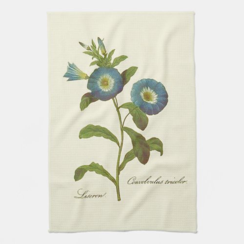 Morning Glory Blue Illustration Towel