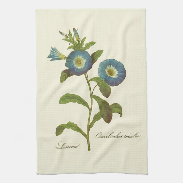 Morning Glory Blue Illustration Towel (Vertical)