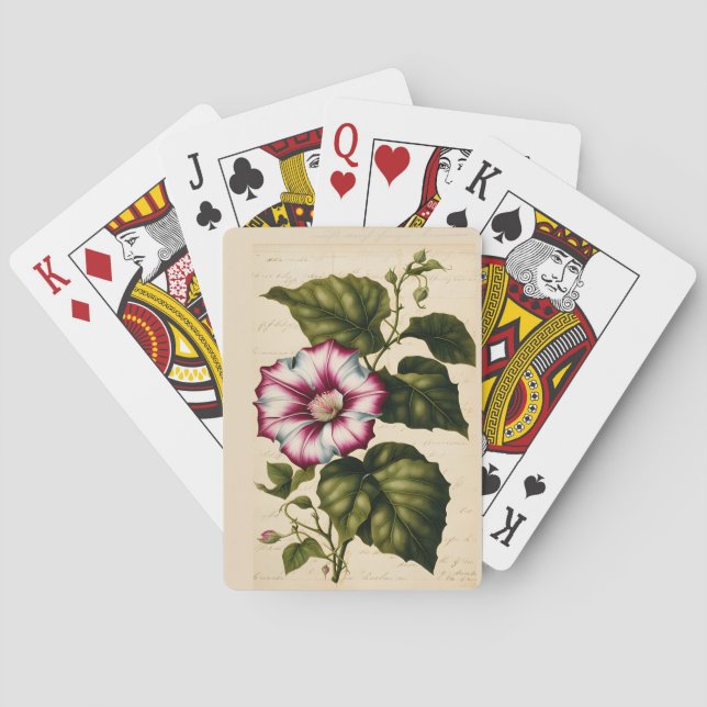Morning Glory Botanical Illustration Poker Cards (Back)