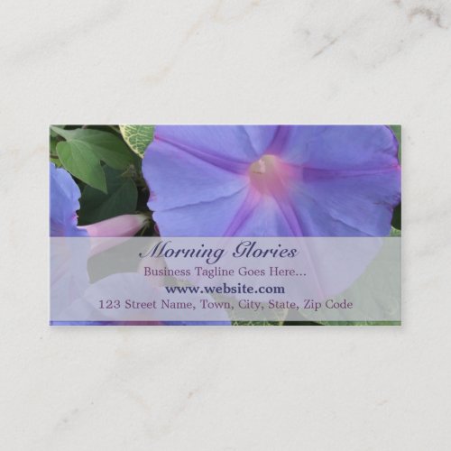 Morning Glory Business Card