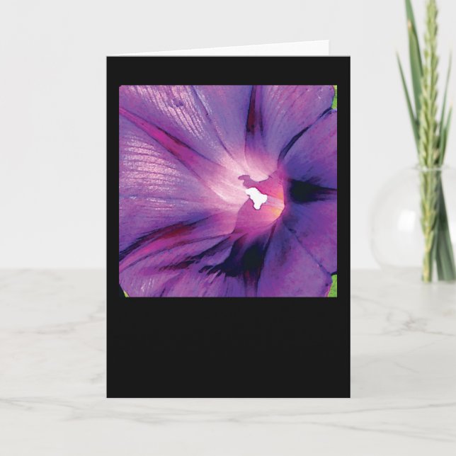 Morning Glory Card (Front)