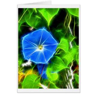 Morning Glory Cards