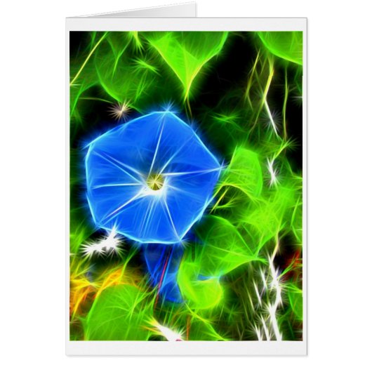 Morning Glory Cards (Front)