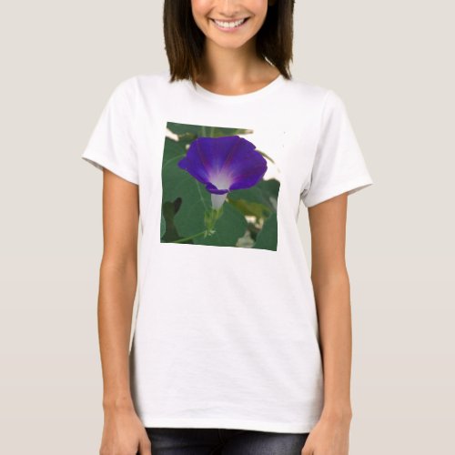 MORNING GLORY DELIGHTName Your Shirt