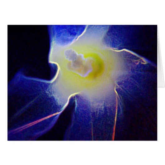 Morning Glory Flower 3 Cards (Front Horizontal)