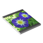 Morning Glory Flower Notepad