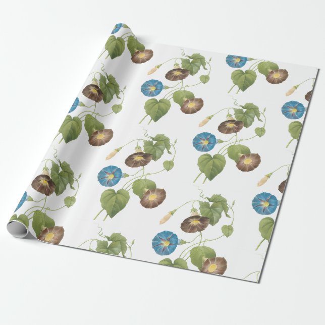 Morning Glory Flower Pattern Wrapping Paper (Unrolled)