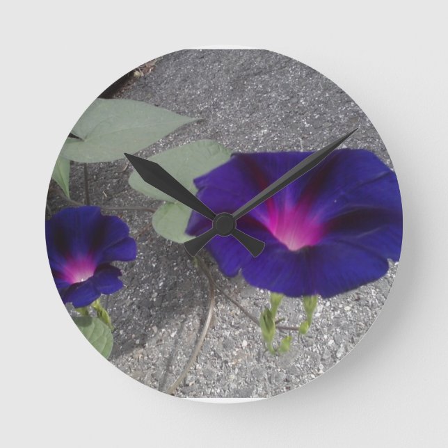 Morning Glory flower Wall Clock (Front)