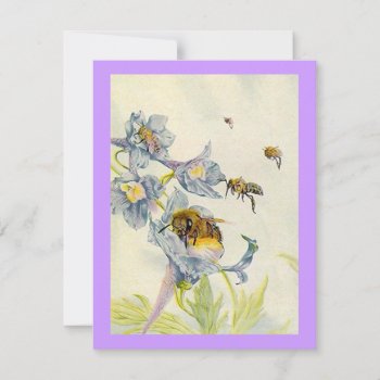 Morning Glory Flowers Bees Birthday Party Invite by layooper at Zazzle