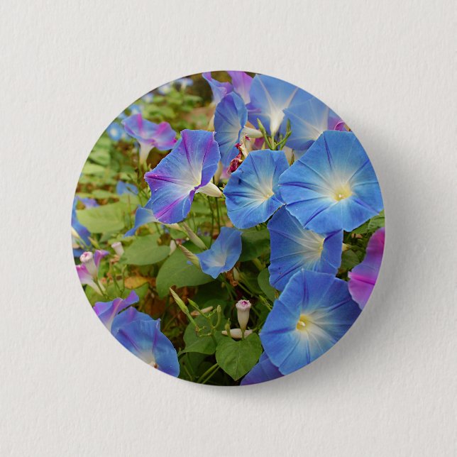 Morning Glory Flowers Button (Front)