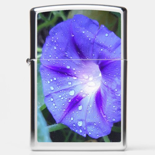 Morning Glory Flowers  Ipomoea with Raindrops Zippo Lighter