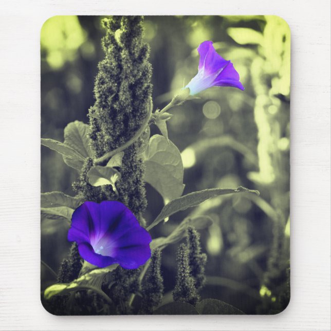 Morning Glory Flowers Mouse Pad (Front)