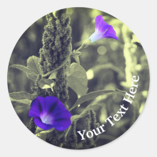 Morning Glory Flowers Personalized Classic Round Sticker