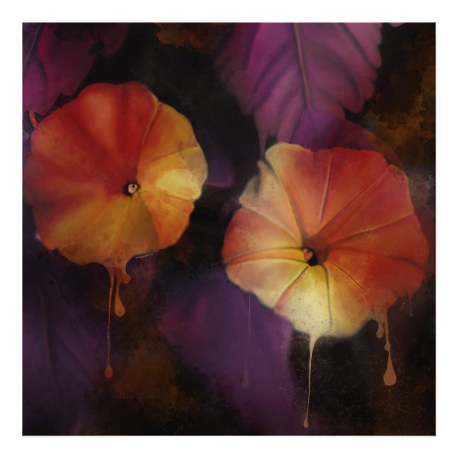 Morning Glory Flowers Photo Print (Front)