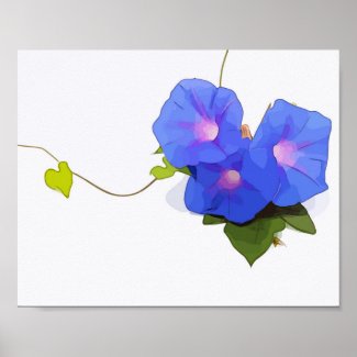 Morning Glory Flowers watercolor Poster