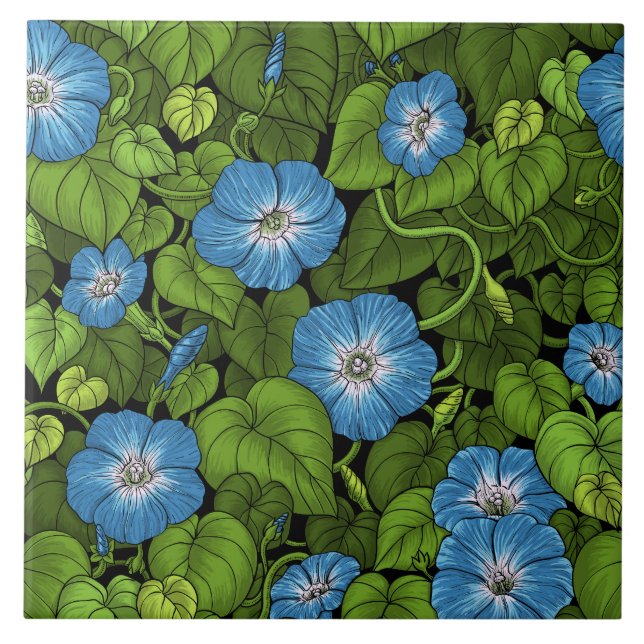 Morning glory in blue and green ceramic tile (Front)