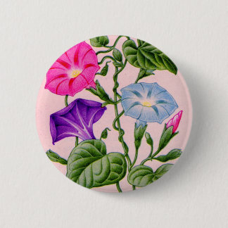 morning glory in blue and pink pinback button