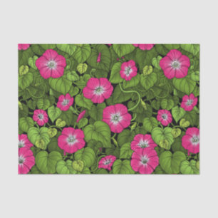 Morning glory in pink and green tissue paper