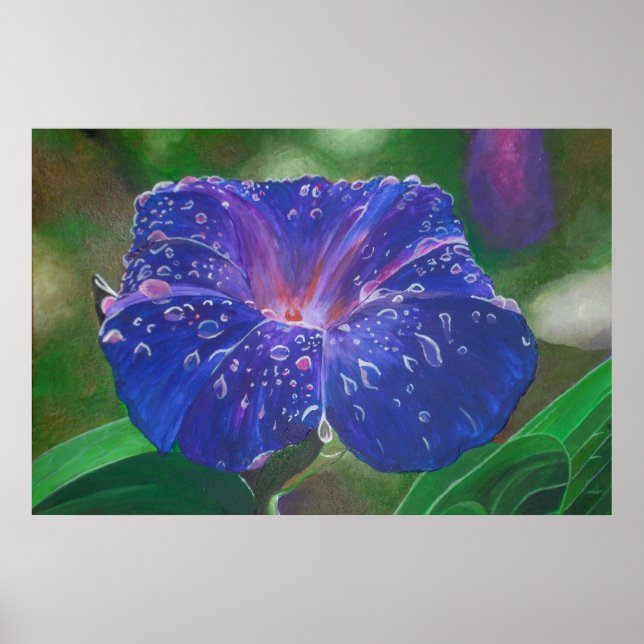Morning Glory (Ipomoea Purpurea) Petals and Dew Dr Poster (Front)