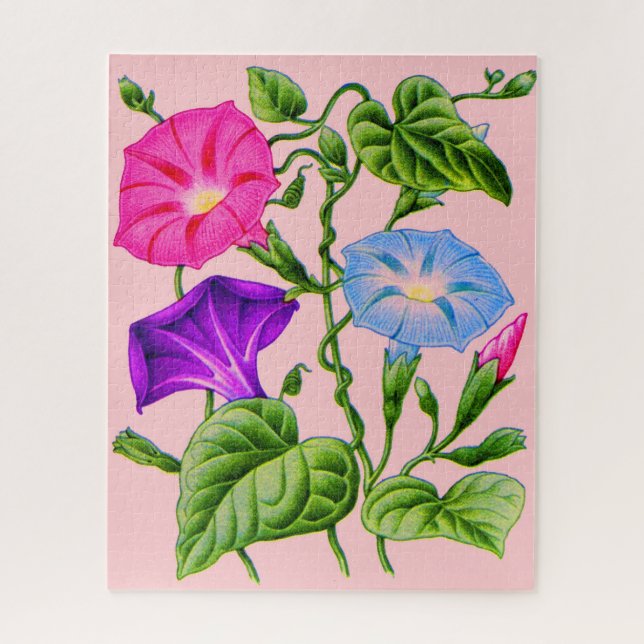 morning glory jigsaw puzzle (Vertical)