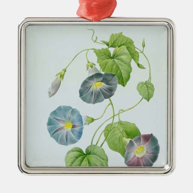 Morning Glory Metal Ornament (Front)