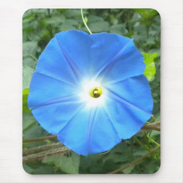 Morning Glory Mousepad (Front)