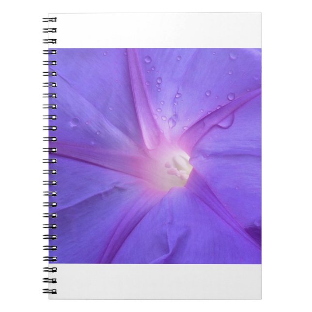 morning glory notebook (Front)