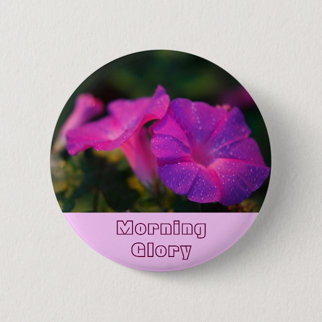 Morning Glory Pinback Button (Front)