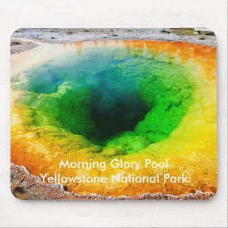 Morning Glory Pool Mousepad