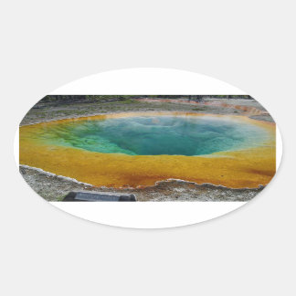 Morning Glory Pool Oval Stickers