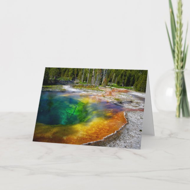Morning Glory Pool Yellowstone Thank You Card (Front)