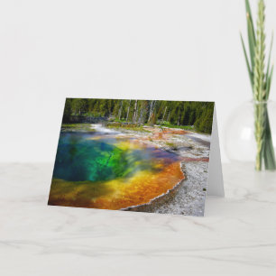 Morning Glory Pool Yellowstone Thank You Card