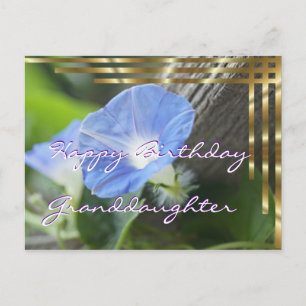 Morning Glory Postcard for any occasion- customize