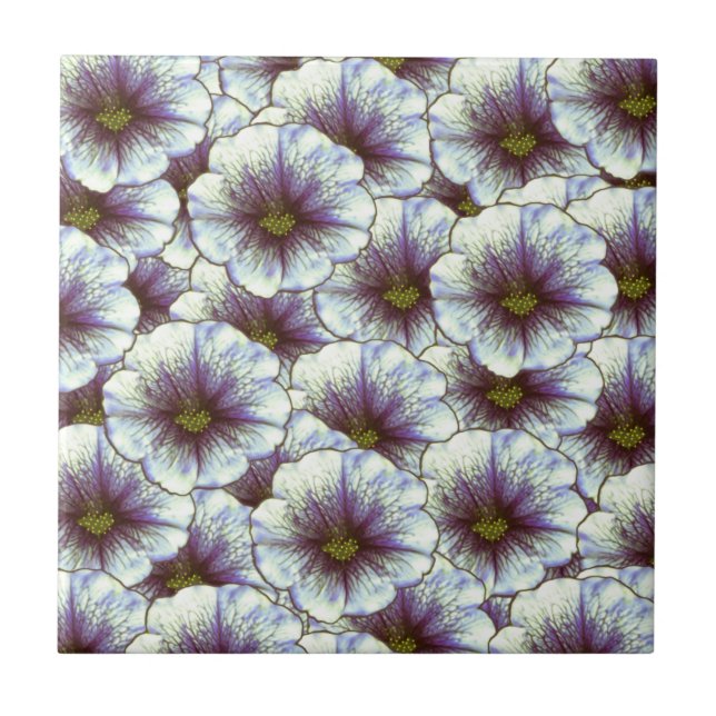 Morning Glory Purple and White Ceramic Tile (Front)