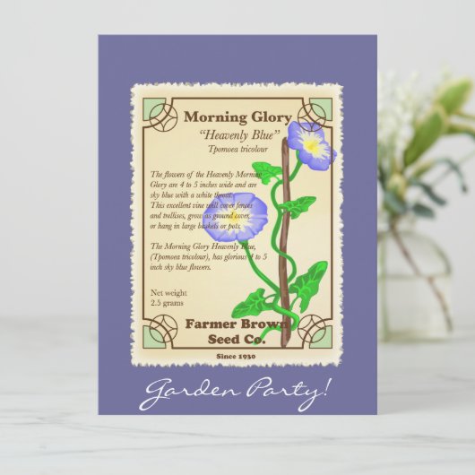 Morning Glory Seed Packet (Standing Front)