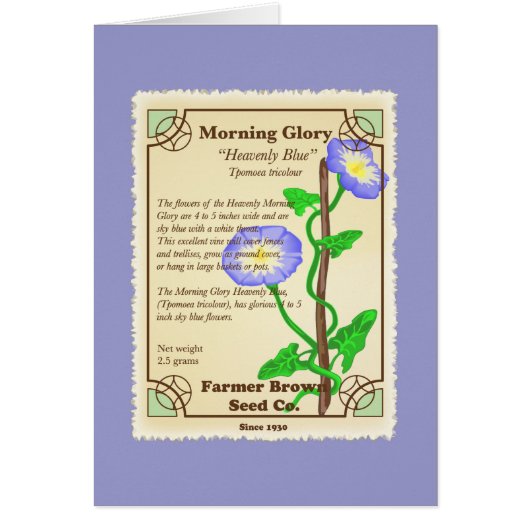 Morning Glory Seed Packet Cards (Front)