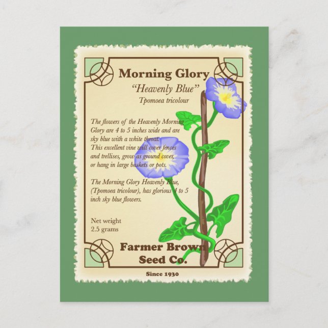 Morning Glory Seed Packet Postcard (Front)