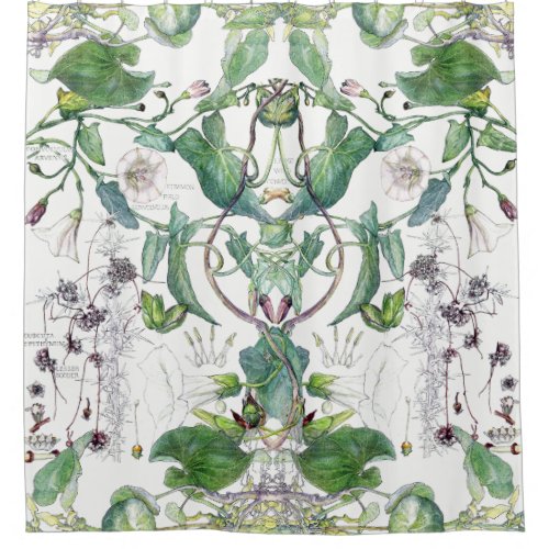 Morning Glory Vine Flowers Shower Curtain