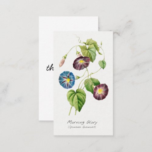 Morning Glory Vintage Botanical Thank You Card