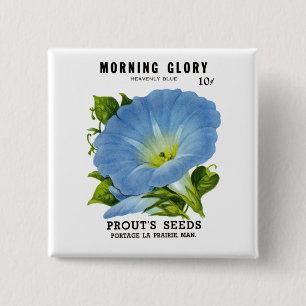 Morning Glory Vintage Seed Packet Button