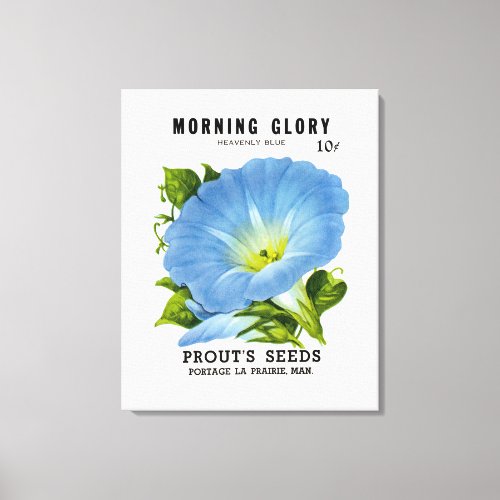 Morning Glory Vintage Seed Packet Canvas Print